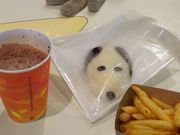 [̃Xk[s[obNbgJtF̓eʐ^1