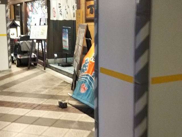 ZĈЂႭ΂ 痢̑䏊̓eʐ^1