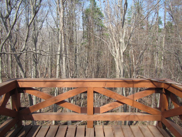 �X�̃e���X_����X�ь����V����