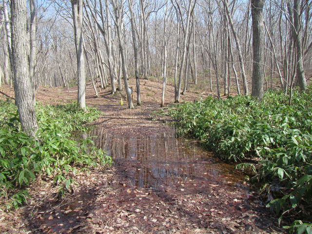 �ʂ����ł���ꏊ��_����X�ь����V����