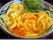 �J������̊ۋT���� �C�I���Y�a�����X�̓��e�ʐ^1