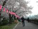 りょくさんの墨堤植桜の碑への投稿写真2