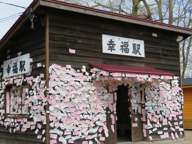 �����\��܂����Ă܂�_�K���w�i�K���S�������j