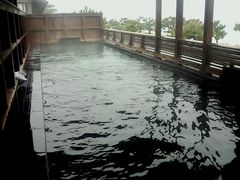 PONYTAIL̓Á@Ԍ̏h@̉ւ̓eʐ^1