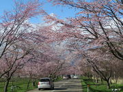 yosshy̗Dx烍[h̓eʐ^1