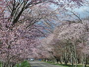 yosshy̗Dx烍[h̓eʐ^2