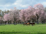 yosshy̗Dx烍[h̓eʐ^3