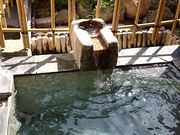 minomusi̐TE瓒ق̓eʐ^2