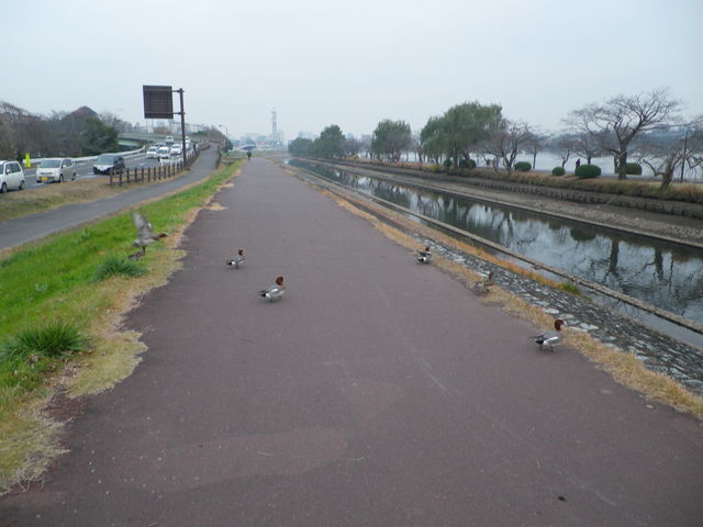 �J���J���J��_��g�ΗV����