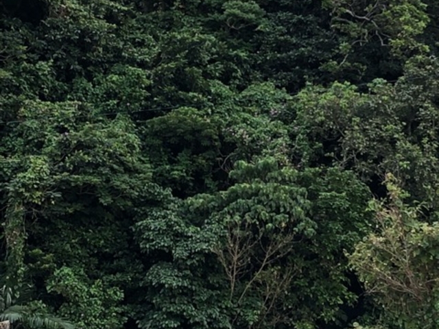 ���Ȃ���̋v���݂�[���Q�̓��e�ʐ^1