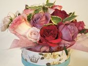 䂳񂳂̐{΂牀̓eʐ^1