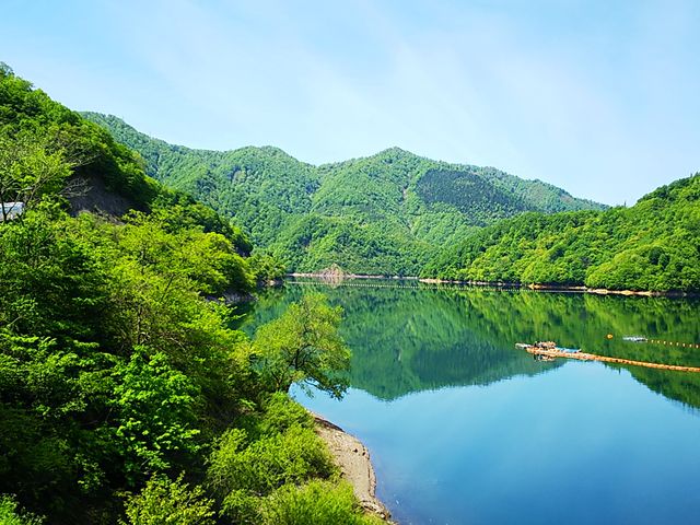 �㓪���΁@�V�΂����ʂ�_�㓪����