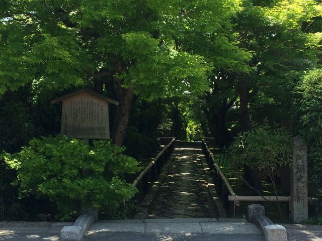 ���x��_���x��