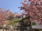 �e�c��������̏�R���j�����̓��e�ʐ^1