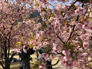 �e�c��������̏�R���j�����̓��e�ʐ^3