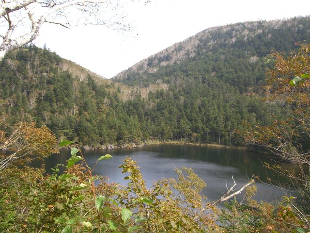 �ߊ��Ȃ��_��I�Ȍ΂ł�_��~��