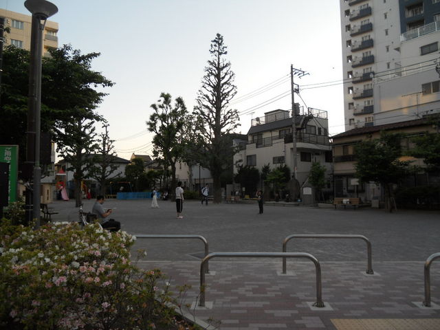 杉山 コレクション 公園 バス