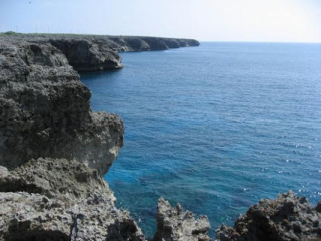 �f�R���_���ߍ�