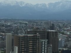 �x�R�s�����W�]���̎ʐ^1