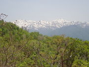 �}�C�a�n�n����̑�����x�̓��e�ʐ^1