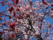 ͂Ȃ̓̉w@ ˏ͂Ȃ̓eʐ^1