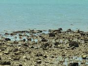 [ҁ[̗^ߗ䒷l̓eʐ^1