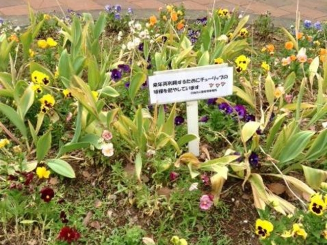 nԒdi2018N5{B炢Ă܂Bj_n