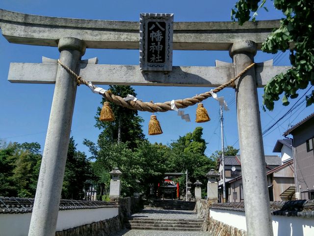 ��씪���_��_��씪���_��