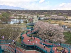 黒磯公園とあわせてさくらの名所 那珂川河畔公園の口コミ じゃらんnet