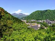 yu]cyan̋S{쉷̓eʐ^1