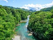 yu]cyan̋S{쉷̓eʐ^1