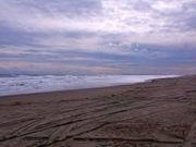 cJ擙X͂̏Zl̔qCij̓eʐ^1