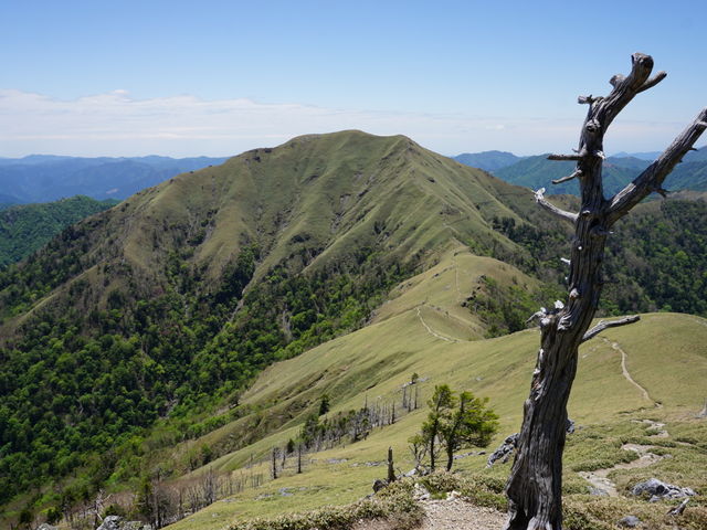 �c���H�ɂ�_���Y��