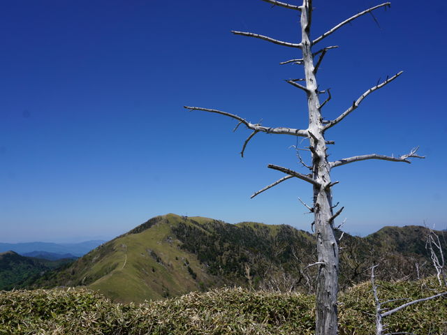 �X�[�p�[�ѓ������̓o�R���ɂ�_���Y��