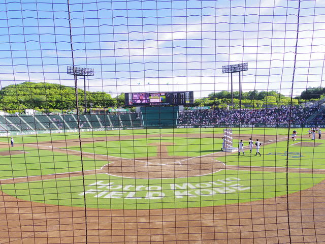 قƂƃtB[h__قƂƃtB[h_