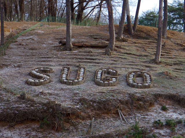 2014�N12���B�e_�X�|�[�c�����hSUGO