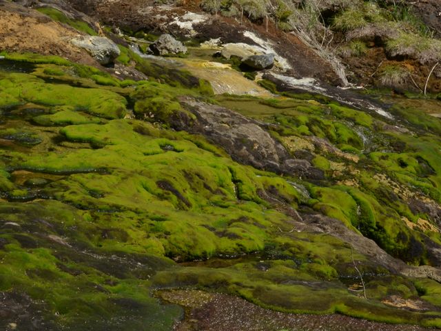 �`���c�{�~�S�P_�`���c�{�~�S�P����