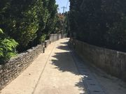 i̓n쓇dv`IQۑn̓eʐ^1