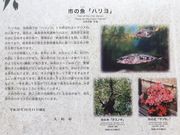 ڂ炳̑]Ձi򕌌_sj̓eʐ^5