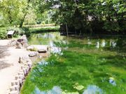 ڂ炳̑]Ձi򕌌_sj̓eʐ^7