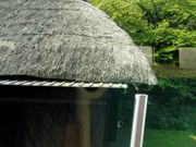 ���݂�������̐��������h���̉Ƃ̓��e�ʐ^1