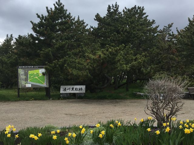 �t�͐�����炭_���̐쉷��