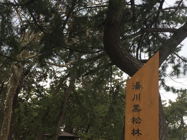 �l���Ɋ����X���Ă���_���̐쉷��