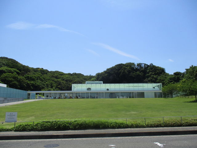 �ω���ɂ��鉡�{����p��_���{����p��