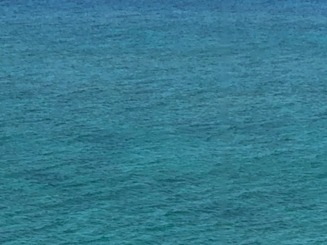 �L���C_�ӂꂠ���̑O�l�C�l�L��