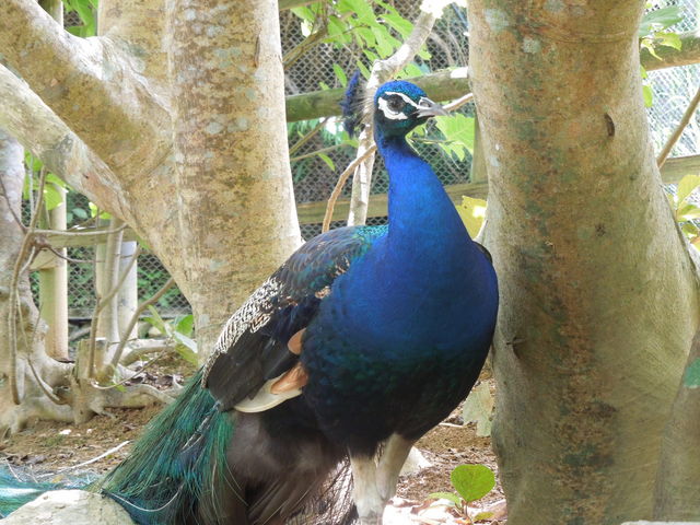 �����Ⴍ_�l�I�p�[�N�I�L�i��