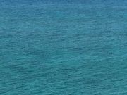 ���݂���̂ӂꂠ���̑O�l�C�l�L��̓��e�ʐ^1