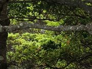 ���݂���̋v�t�R�̓��e�ʐ^1