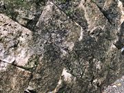 ���݂���̖����Ƃ̓��e�ʐ^1