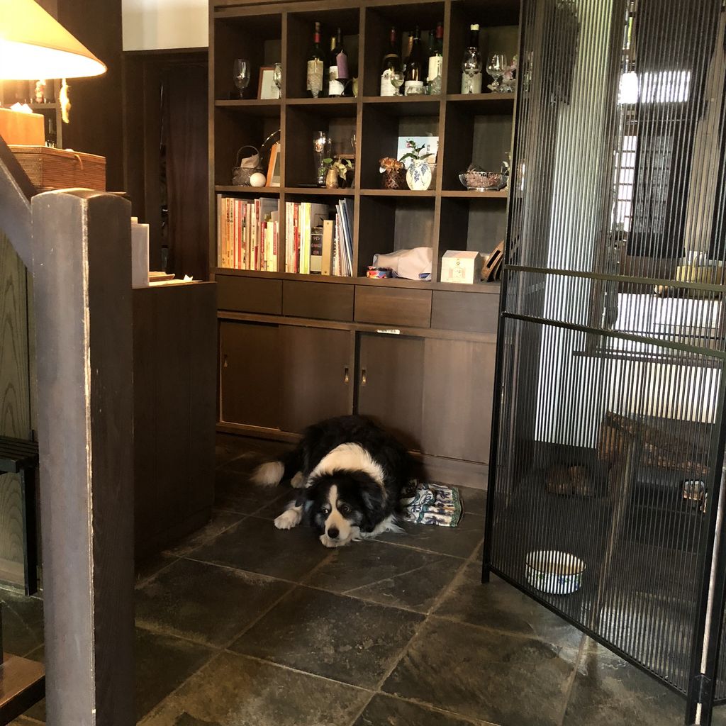 春日居町駅周辺のカフェ スイーツランキングtop10 じゃらんnet